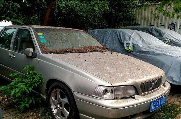 如果汽车停着不开,最多能停放几天?老司机:只