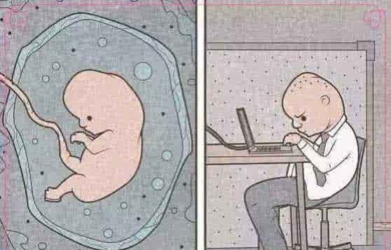 赤裸裸的人性图:被压垮的父亲,好心换来驴肝肺