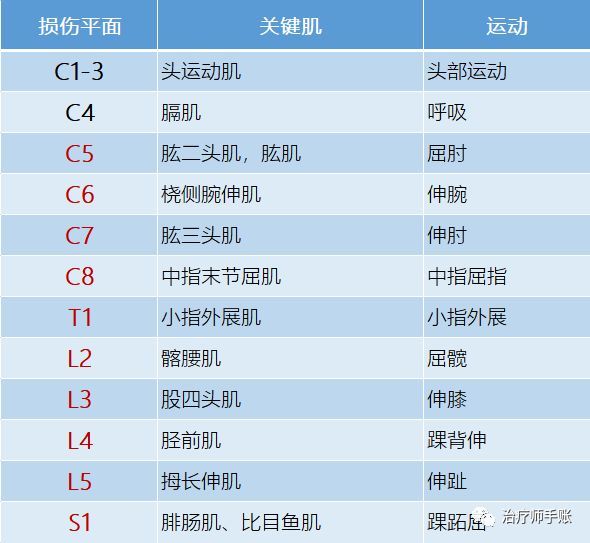 脊髓損傷平面