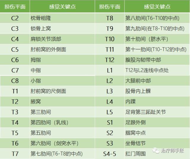 脊髓损伤平面