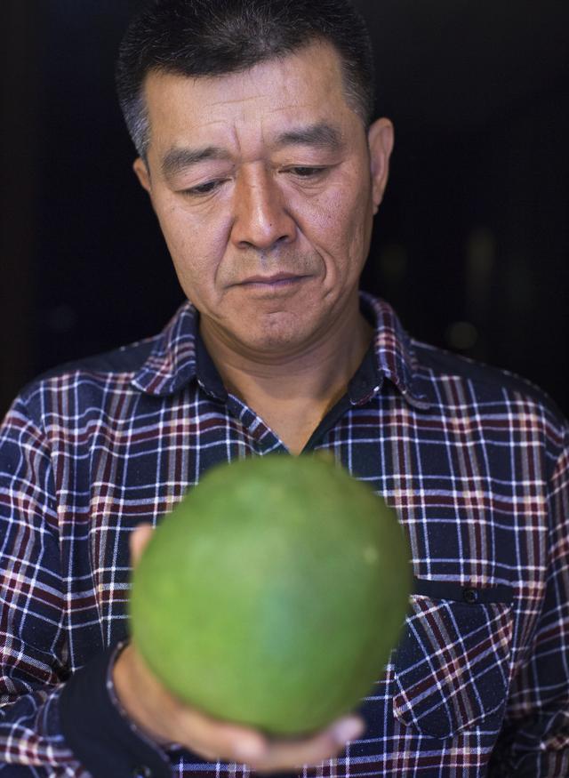 腾讯内容开放平台