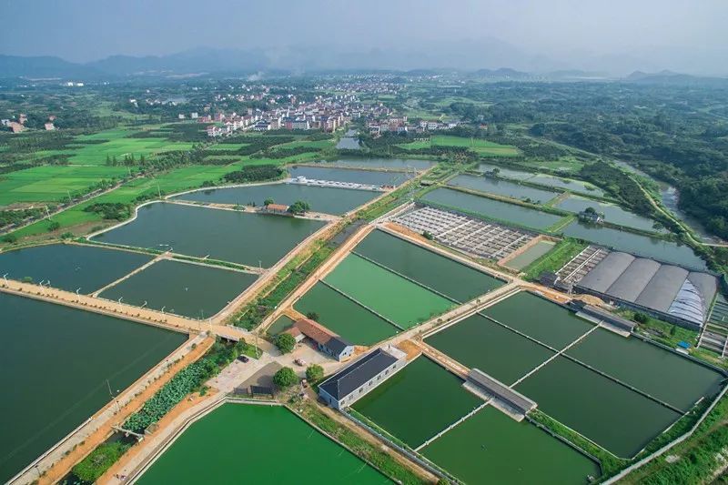 赞!这些地方被评为平安渔业示范县!