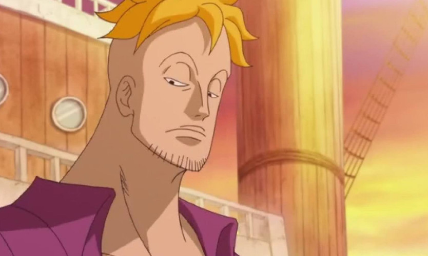 海贼王:马尔科终于出手,想去和之国帮路飞,结果白二世却来了