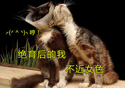 腾讯内容开放平台