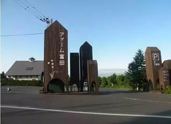 农业观察丨美丽的花海能够赚钱吗?赚钱能长红