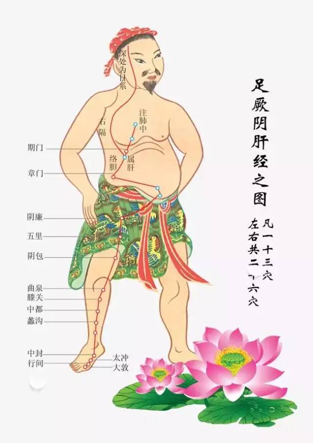 为什么疏通肝胆经对于女性来说尤其重要?因为中医认为,肝藏血.