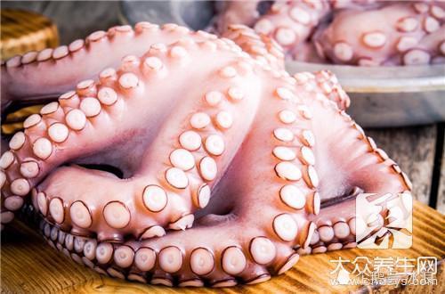 八爪鱼鱿鱼章鱼的区别是什么?