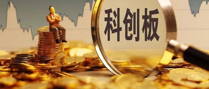 证监会信息中心主任张野:科创板更加强调信息