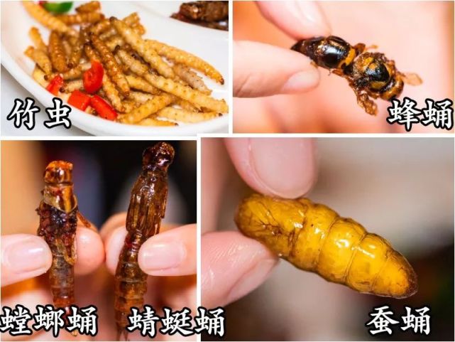 幸亏广东人没有出道不然贝爷都没法做节目了