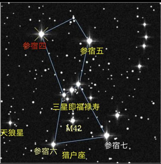 参宿