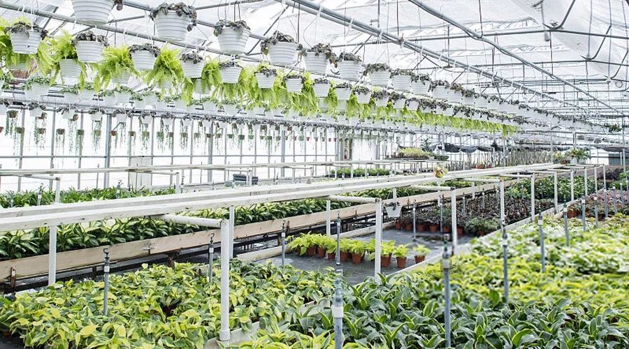 如何推动乡村振兴战略落地落实?四川省委一号