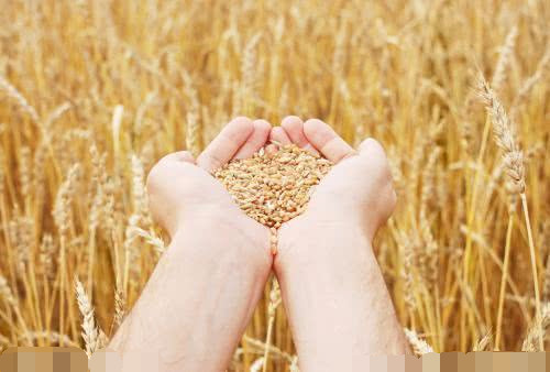 第一批科创板股票名单出炉,你是如何看待呢?原