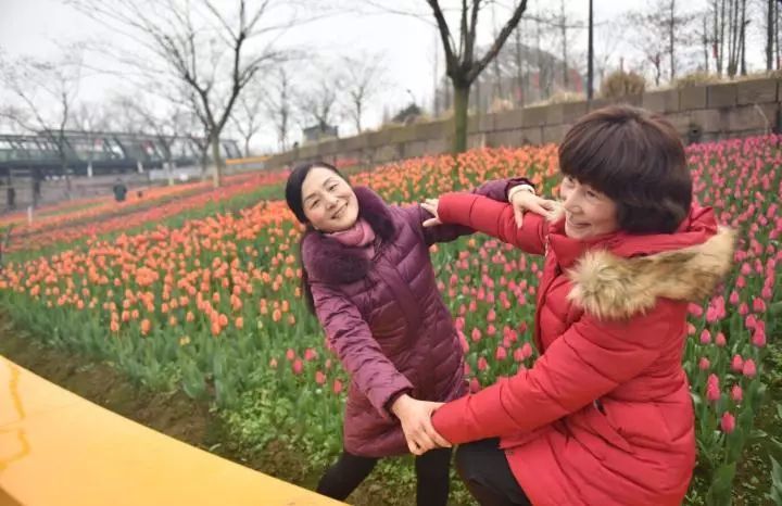 金华最美花季已经拉开序幕 3月花海时间表 请收好 腾讯新闻