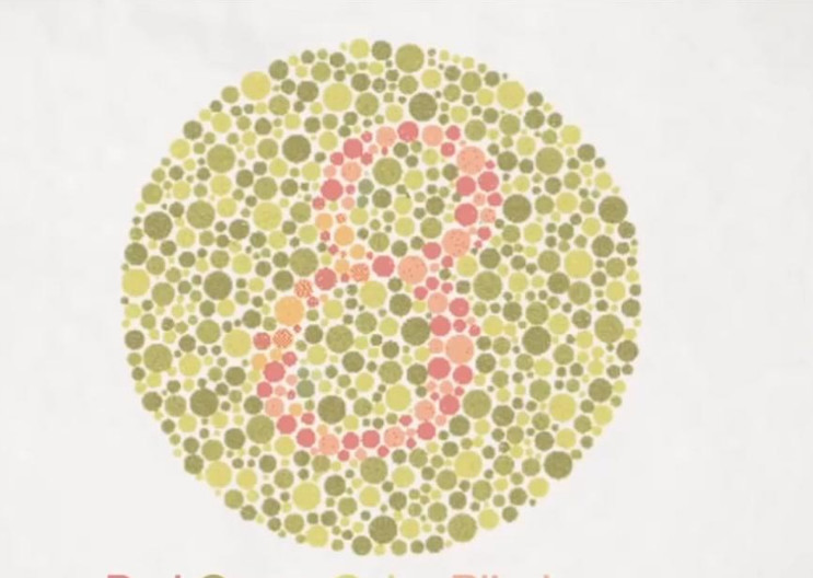 色盲的世界是怎样的?看过才知道,原来不是黑白的