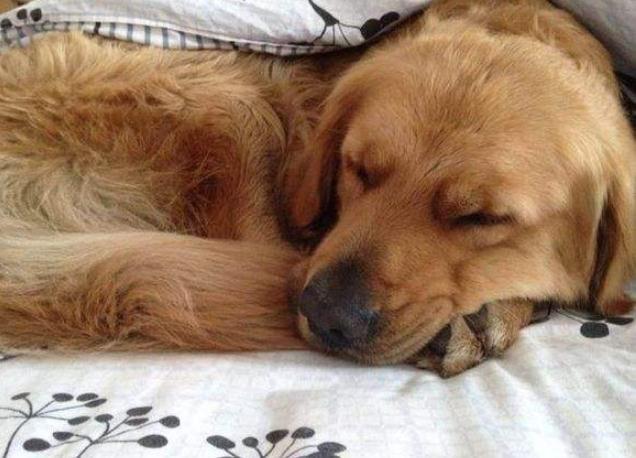 腾讯内容开放平台