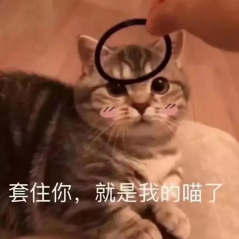 640