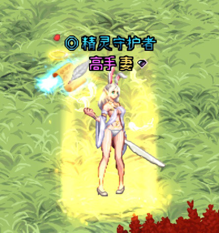 玩家把帕拉丁作为大号来玩的话,那么就会给这个角色搭配很多的时装,大