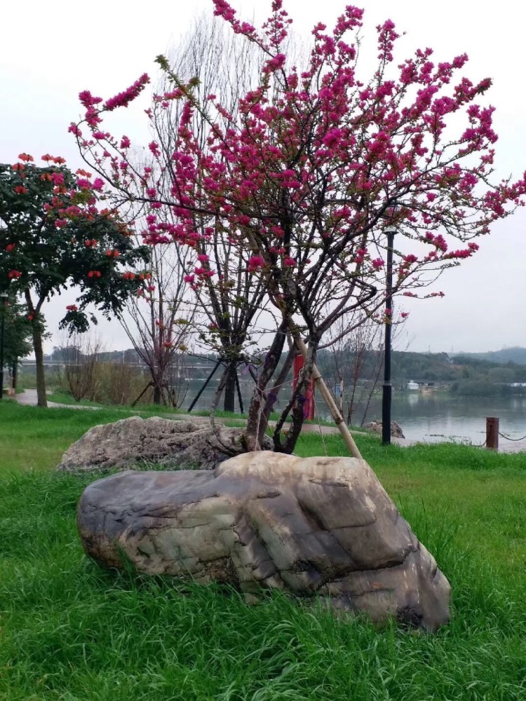 许东明——踏莎行