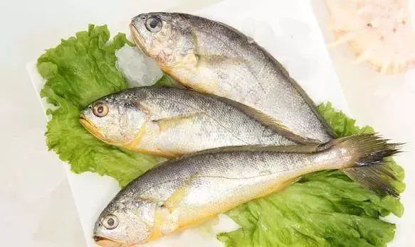 19秦皇岛最全海鲜日历出炉 旅游海鲜两不误 腾讯新闻