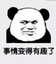 儿子要去哈佛大学做交换生