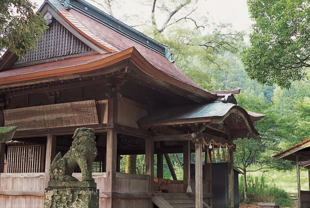 久等了猫奴们 九州这家 猫神 神社 让全日本的猫奴不淡定了 腾讯新闻