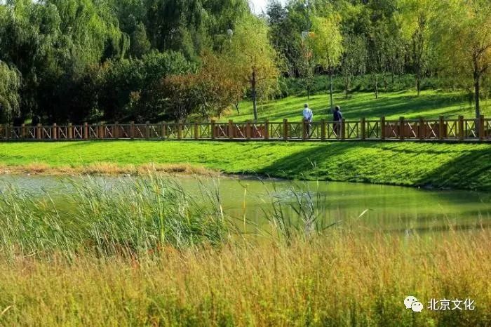 北京溼地公園,讓你花最少的錢看最美的春色