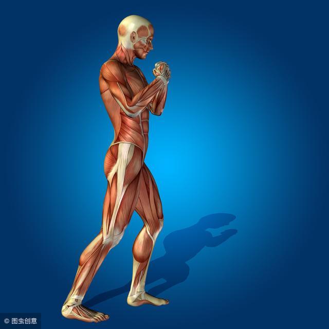 5个徒手练腿动作,增强下肢力量,2个月便出成效