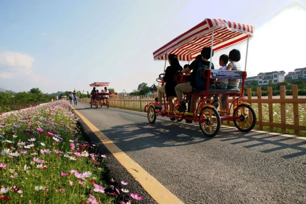 在好花红乡村旅游区体验地道的黔南民族乡村生活惠水兰花节长顺:到