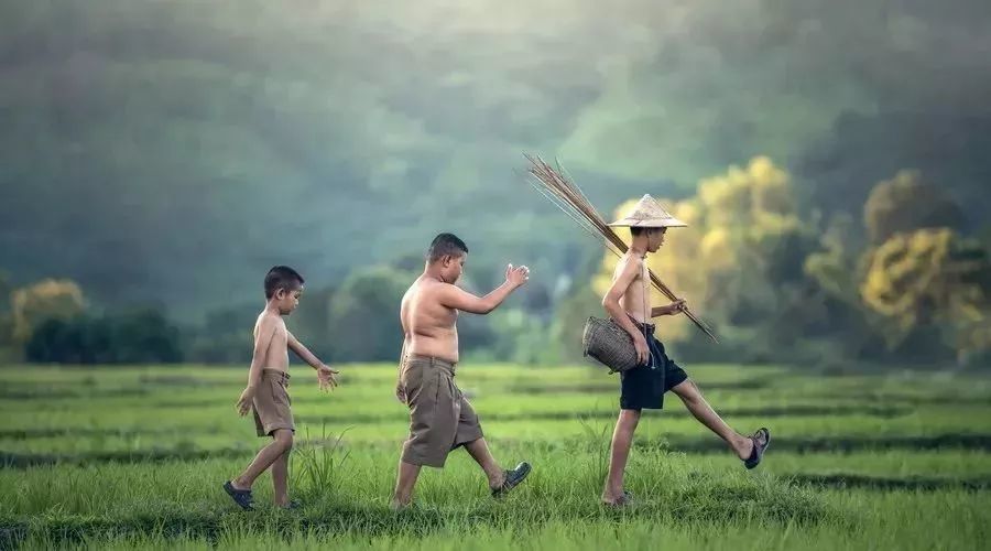 向往的生活|《向往的生活》口碑下滑，黄磊透露节目或将停播，观众反应很真实