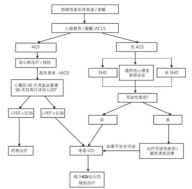 僅見相對規則,振幅相等的正弦樣波,多於數秒內蛻變成室顫