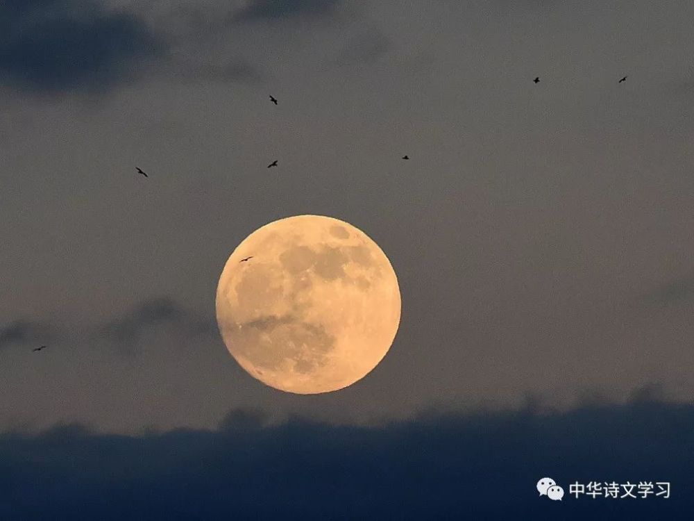 纪晓岚|史上那些有趣的一字诗，你知道多少？