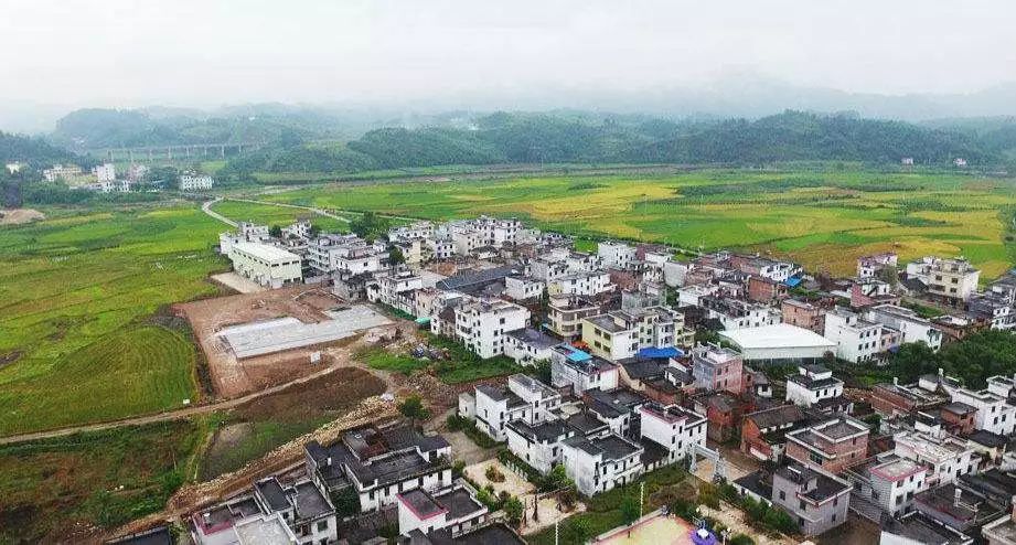 侠客岛:中央提出要给基层减负,到底该怎么减?