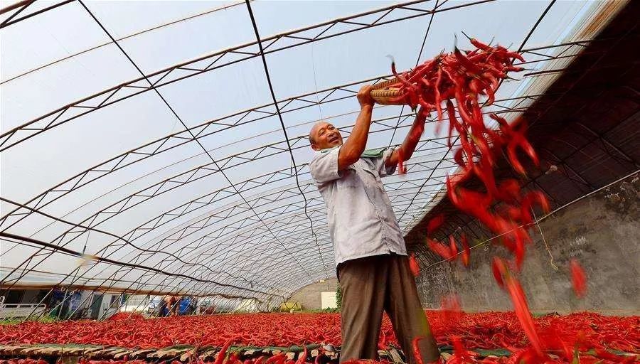 侠客岛:中央提出要给基层减负,到底该怎么减?