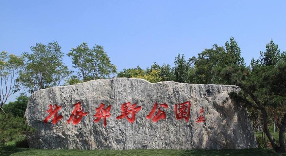 解读天津北辰郊野公园的改造:改变"只有郊野,没有公园"的现状