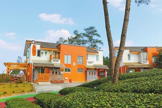 蒲江县成佳镇麟凤村发挥群众主体作用积极参与人居环境整治提升后