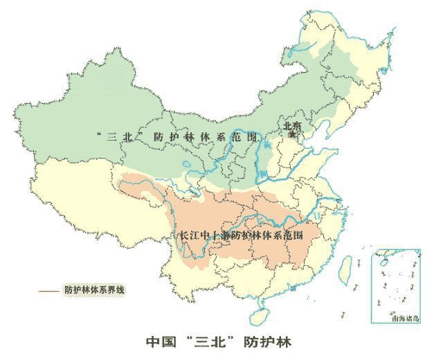 这些真"大腿"工程之外,还有一些地方政府,组织的绿化造林工程,例如