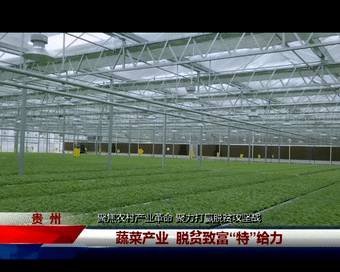 在西南地区最大的蔬菜集散中心和国内一流的高端山地特色生态农业示范