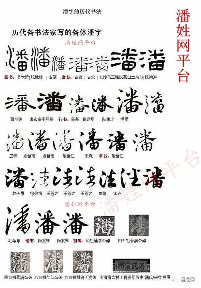 厉害了我的潘潘字的100种写法潘家人不要错过