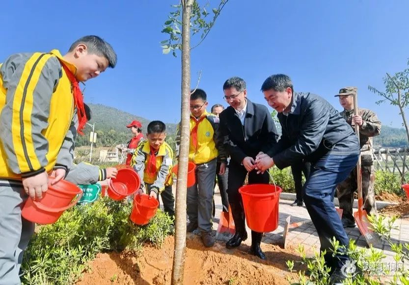 罗源县开展乡村振兴 村植千树 我们在行动志