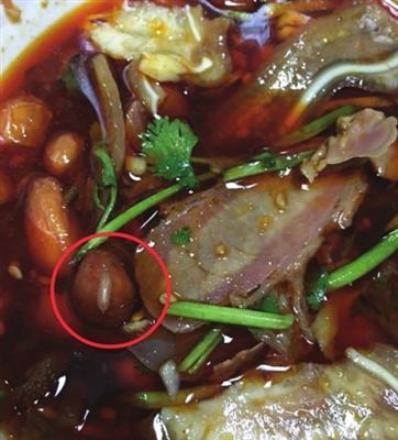 正在花生上蠕动的蛆虫