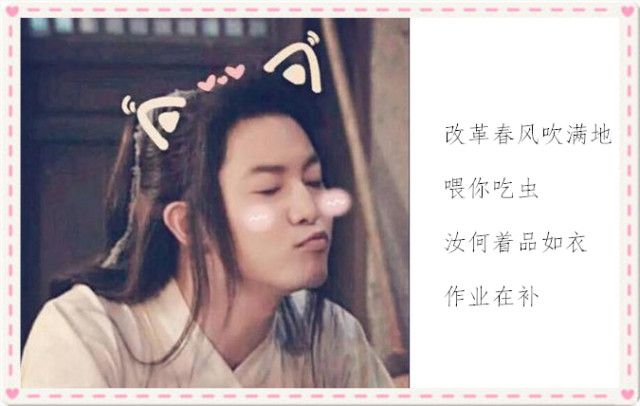 最近火了的沙雕专属网名,沙雕指数满星天