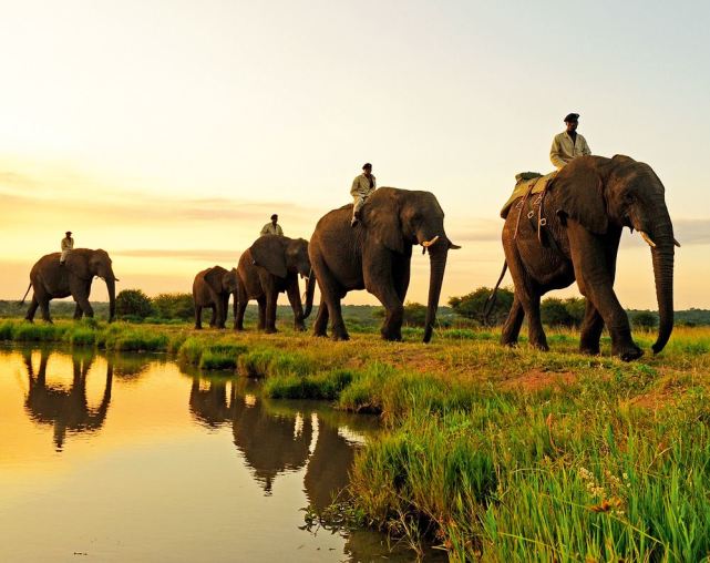 王族待遇:在泰国骑大象