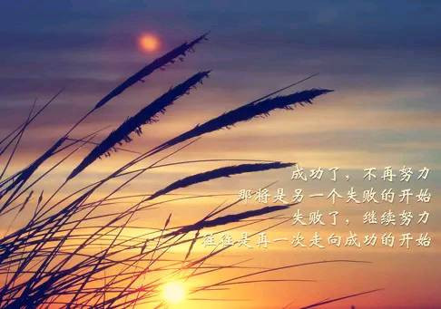 2019努力奋斗的句子 一切都顺其自然 最好的自己留给最后的