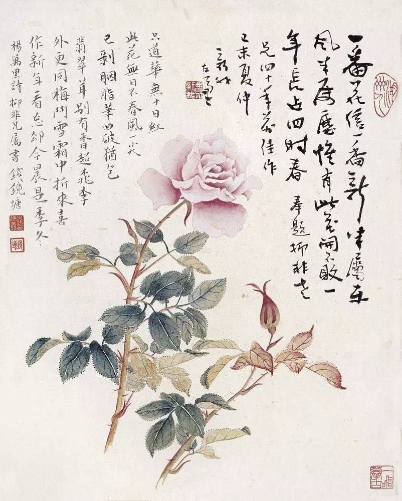 陆抑非笔下的花鸟,盎然生机!_腾讯新闻