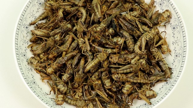 炸了一盘蚂蚱,小伙一会儿就喝一斤酒,这样吃太爽了