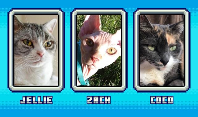 腾讯内容开放平台