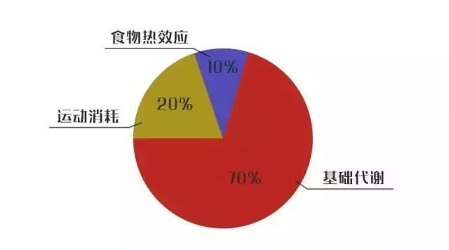 效果好的减肥_怎么减肥效果最好_减肥减肥效果好