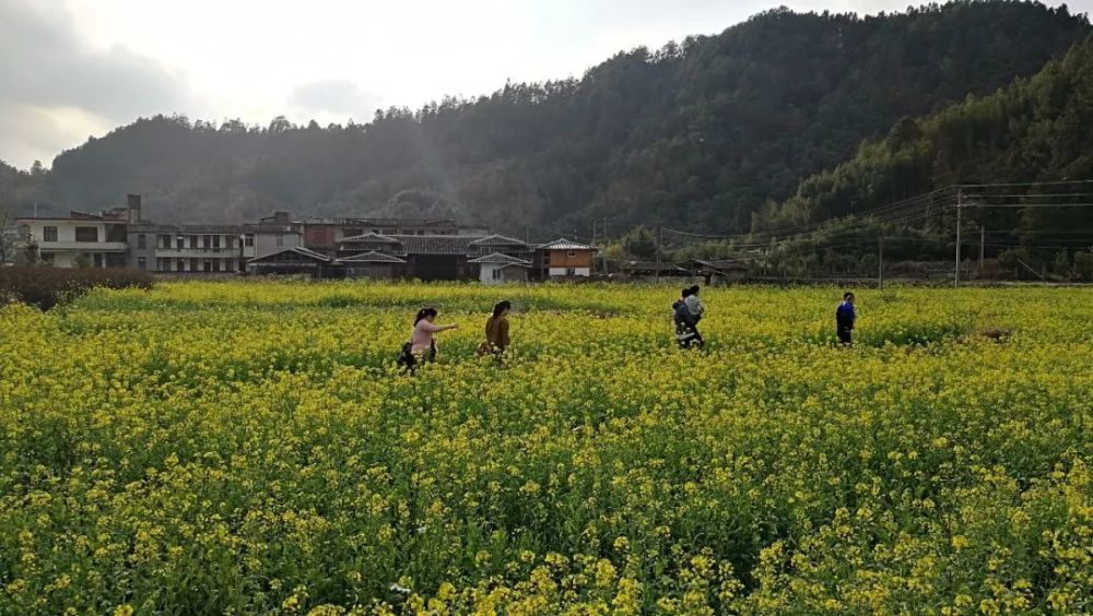 龙浔镇高阳村,水口镇上湖村白潭村,水口镇淳湖村,盖德镇山坪村,美湖镇