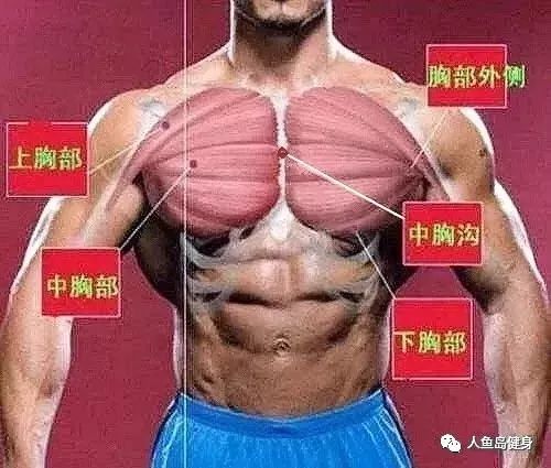 女性强化事业线 男性打造中胸沟 通用的五个训练动作 腾讯新闻