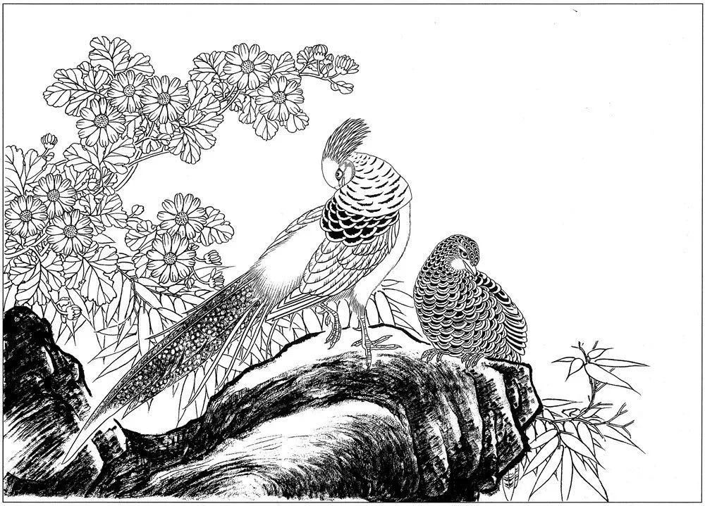 線描白描:動物花鳥蟲草圖